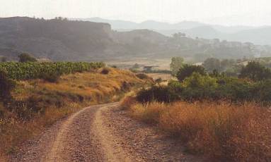 Just West of Estella