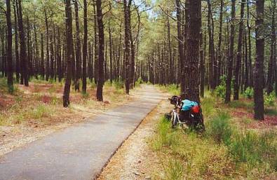 Cyclepath beween Arcachon and Mimizan 