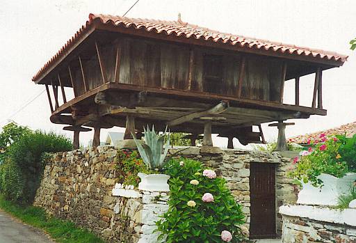 Cadavedo